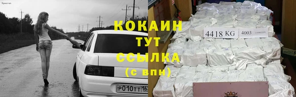 стаф Алагир