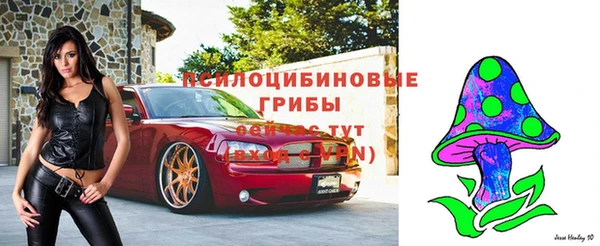 трава Кулебаки